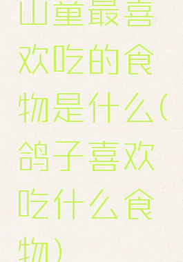 山童最喜欢吃的食物是什么(鸽子喜欢吃什么食物)