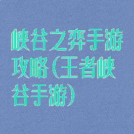 峡谷之弈手游攻略(王者峡谷手游)