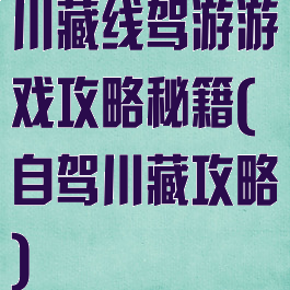 川藏线驾游游戏攻略秘籍(自驾川藏攻略)