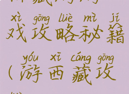 川藏游游戏攻略秘籍(游西藏攻略)