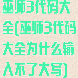 巫师3代码大全(巫师3代码大全为什么输入不了大写)