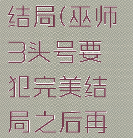 巫师3头号要犯完美结局(巫师3头号要犯完美结局之后再做什么任务)