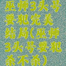 巫师3头号要犯完美结局(巫师3头号要犯杀不杀)