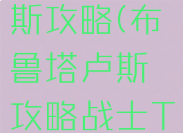 布鲁塔卢斯攻略(布鲁塔卢斯攻略战士T)