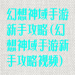 幻想神域手游新手攻略(幻想神域手游新手攻略视频)