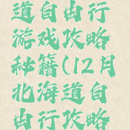 广西北海道自由行游戏攻略秘籍(12月北海道自由行攻略百度经验)
