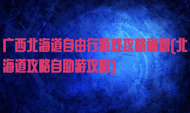 广西北海道自由行游戏攻略秘籍(北海道攻略自助游攻略)