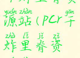 干炸里脊资源站(pcr干炸里脊资源站)