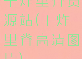 干炸里脊资源站(干炸里脊高清图片)