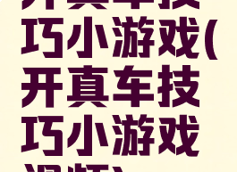 开真车技巧小游戏(开真车技巧小游戏视频)
