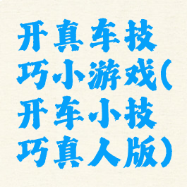 开真车技巧小游戏(开车小技巧真人版)