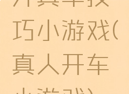 开真车技巧小游戏(真人开车小游戏)