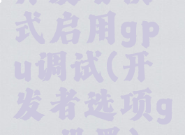 开发者模式启用gpu调试(开发者选项gpu设置)
