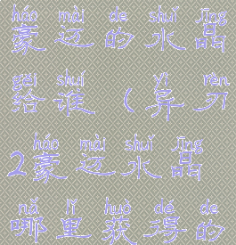 异度之刃2豪迈的水晶给谁(异刃2豪迈水晶哪里获得的)