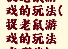 捉老鼠游戏的玩法(捉老鼠游戏的玩法有哪些)