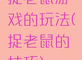 捉老鼠游戏的玩法(捉老鼠的技巧)