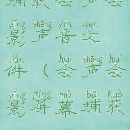 捕获会声会影声音文件(会声会影屏幕捕获)