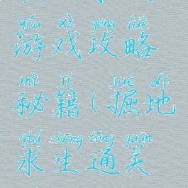 掘地求生游戏攻略秘籍(掘地求生通关全过程)