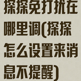 探探免打扰在哪里调(探探怎么设置来消息不提醒)