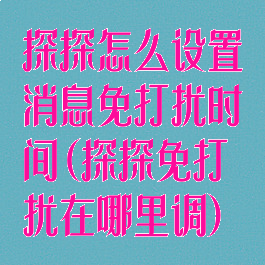 探探怎么设置消息免打扰时间(探探免打扰在哪里调)