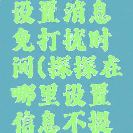 探探怎么设置消息免打扰时间(探探在哪里设置信息不提醒)