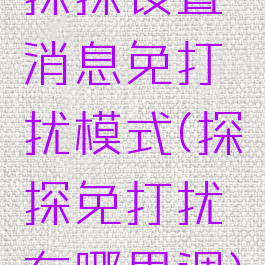 探探设置消息免打扰模式(探探免打扰在哪里调)