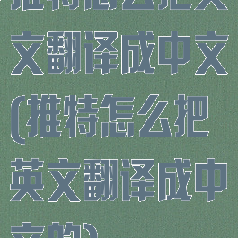 推特怎么把英文翻译成中文(推特怎么把英文翻译成中文的)