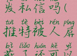 推特被人屏蔽了还可以发私信吗(推特被人屏蔽了还可以发私信吗安全吗)