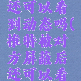 推特被对方屏蔽后还可以看到动态吗(推特被对方屏蔽后还可以看到动态吗怎么设置)