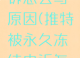 推特被永久冻结申诉怎么写原因(推特被永久冻结申诉怎么写原因说明)