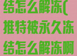 推特被永久冻结怎么解冻(推特被永久冻结怎么解冻啊)