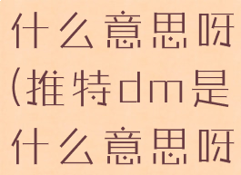 推特dm是什么意思呀(推特dm是什么意思呀网络用语)