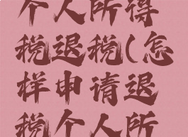 怎么申报个人所得税退税(怎样申请退税个人所得税)