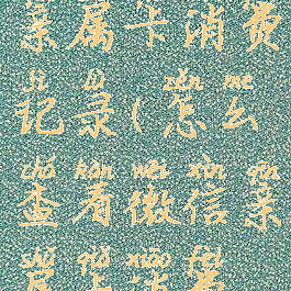 怎么看微信亲属卡消费记录(怎么查看微信亲属卡消费记录)