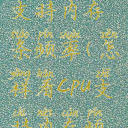 怎么看cpu支持内存条频率(怎样看cpu支持内存频率)