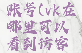 怎么看vk账号(vk在哪里可以看到访客记录)