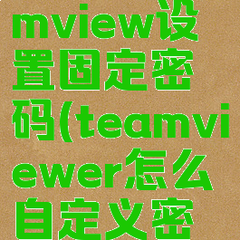 怎么给teamview设置固定密码(teamviewer怎么自定义密码)