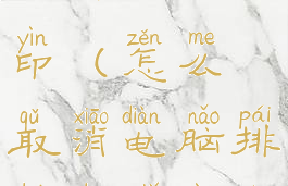 怎么取消电脑排队的打印(怎么取消电脑排队的打印任务)