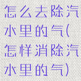 怎么去除汽水里的气(怎样消除汽水里的气)