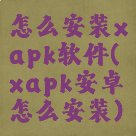 怎么安装xapk软件(xapk安卓怎么安装)