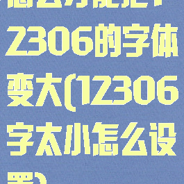 怎么才能把12306的字体变大(12306字太小怎么设置)