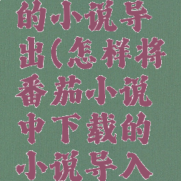 怎么把番茄小说里的小说导出(怎样将番茄小说中下载的小说导入本地视频教学)
