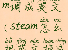 怎么把steam调成英文(steam怎么把英文换成中文)