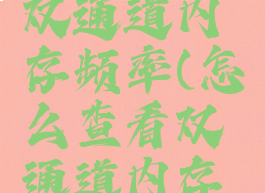 怎么查看双通道内存频率(怎么查看双通道内存频率)