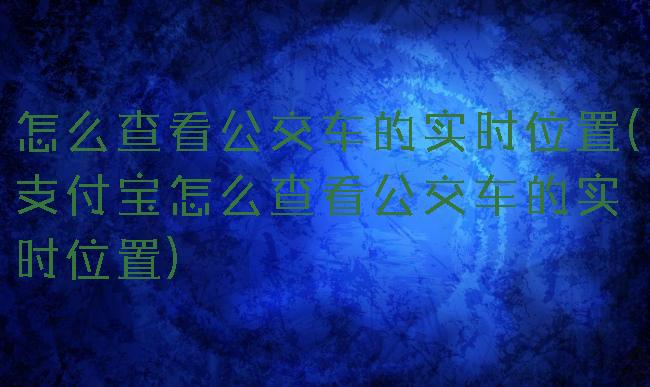 怎么查看公交车的实时位置(支付宝怎么查看公交车的实时位置)