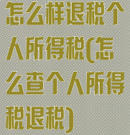 怎么样退税个人所得税(怎么查个人所得税退税)
