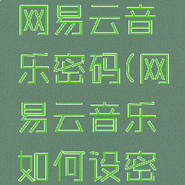 怎么设置网易云音乐密码(网易云音乐如何设密码)