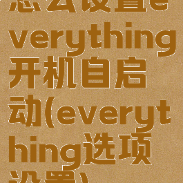 怎么设置everything开机自启动(everything选项设置)