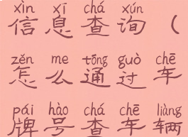 怎么通过车牌号查车辆信息查询(怎么通过车牌号查车辆信息查询车主电话)