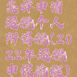怎样申请退税个人所得税(2022年退税申报流程)